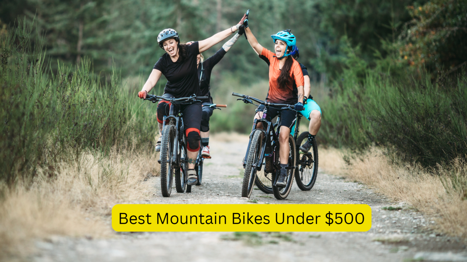 Best Mountain Bikes Under $500: How To Choose The Perfect Ride ...