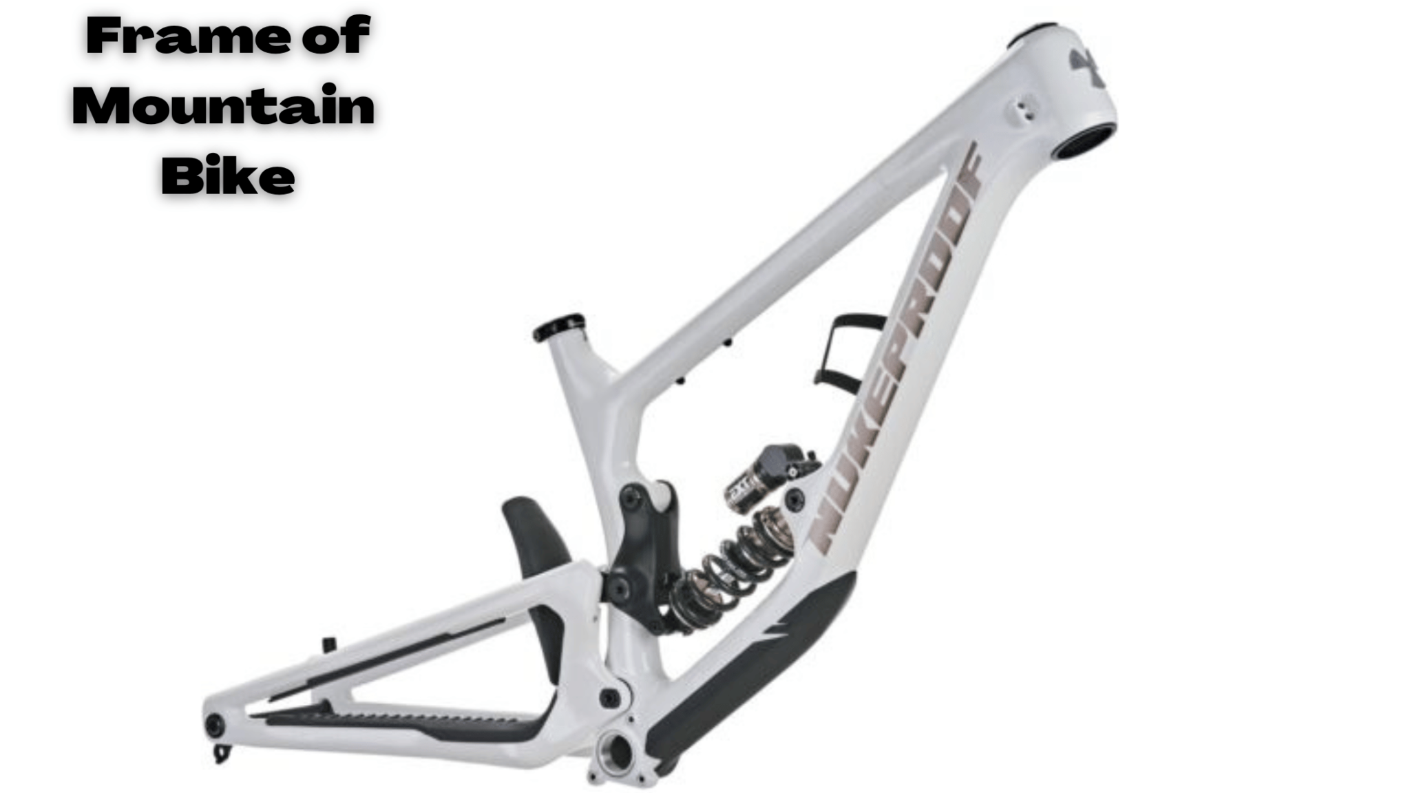 Best Mountain Bikes Under 2000 Find Your Perfect Ride Reviews Bike