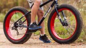 Mongoose Dolomite vs Malus Fat Tire Mountain Bike