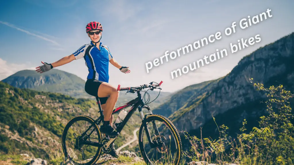 performance of Giant mountain bikes