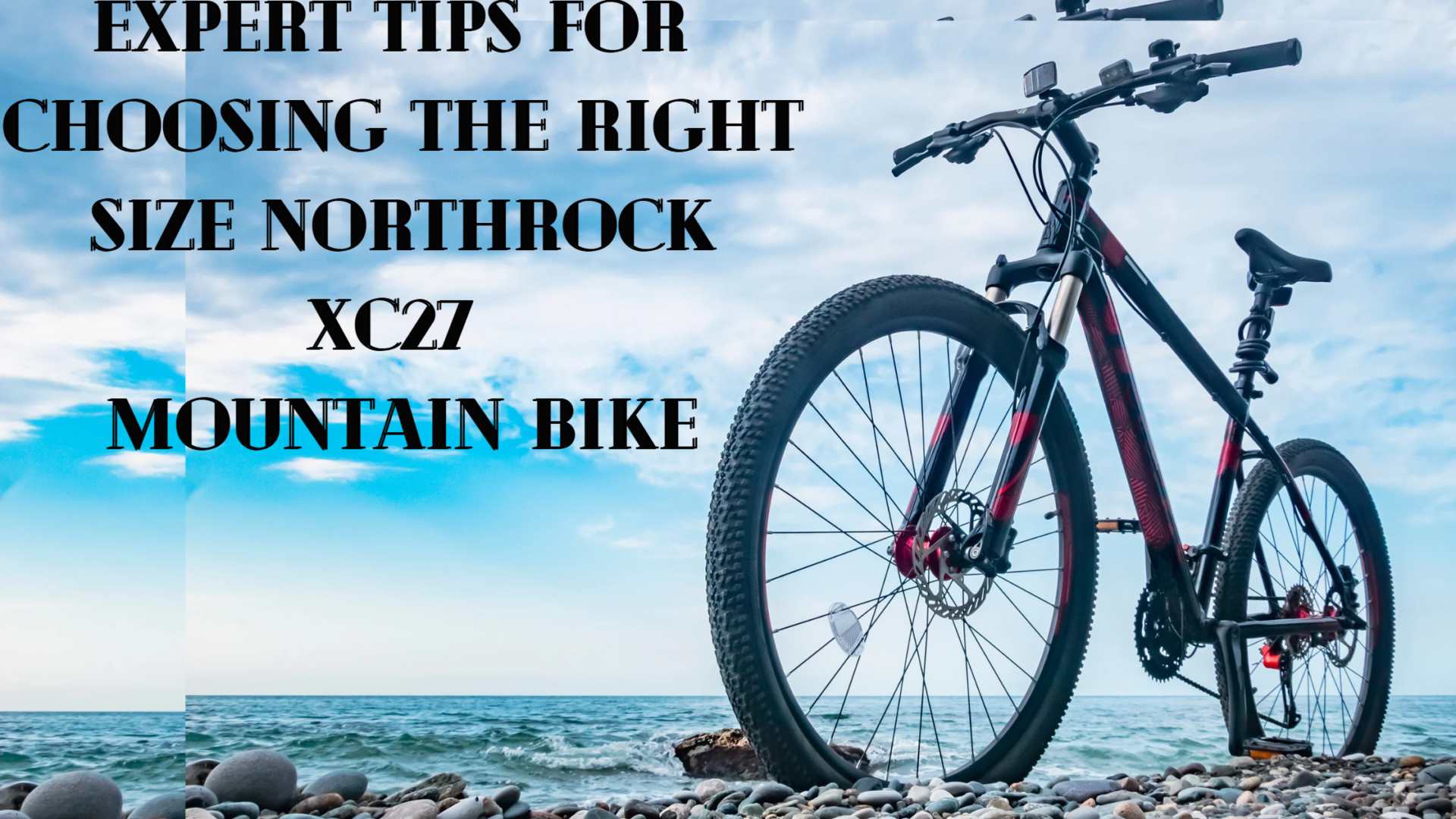 Northrock xc27 best sale mountain bike weight