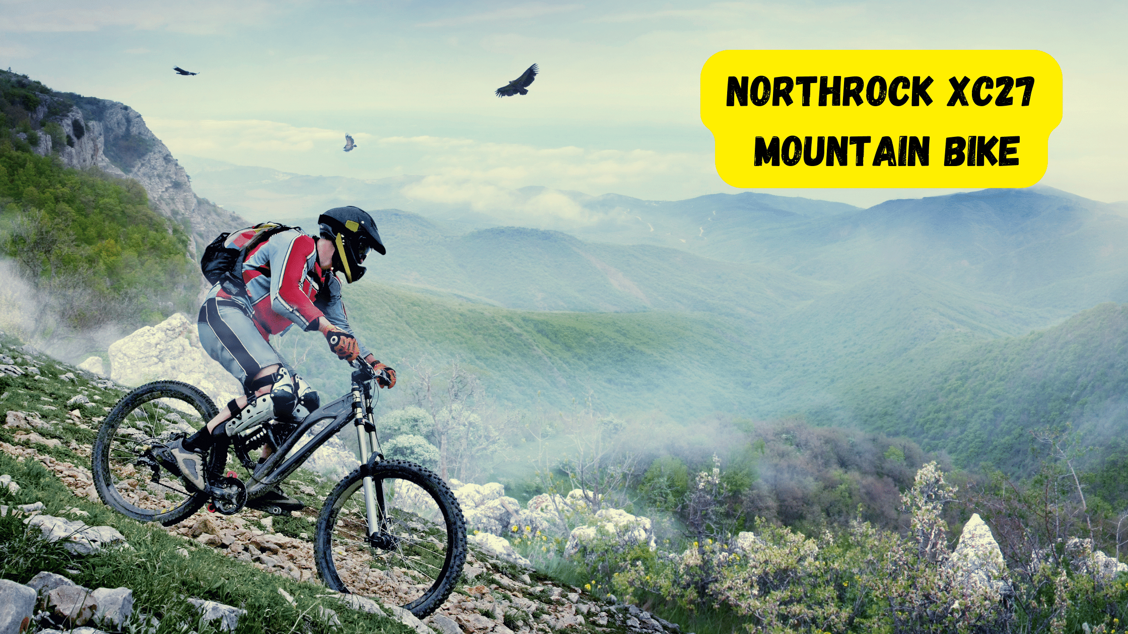 northrock mountain bike