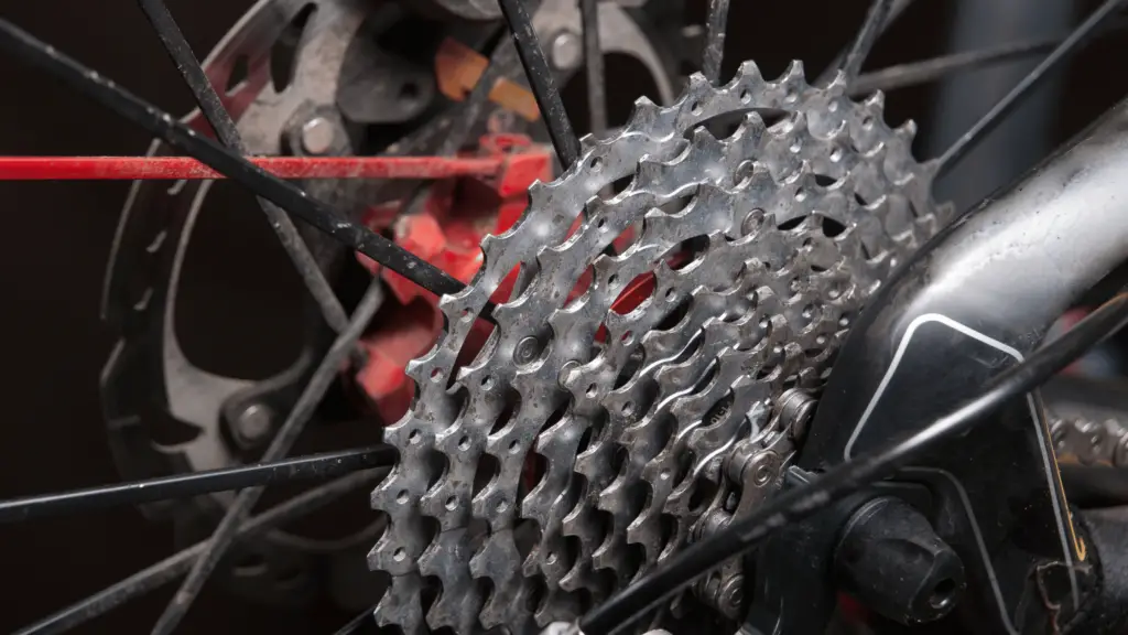 Gears on a Mountain Bike