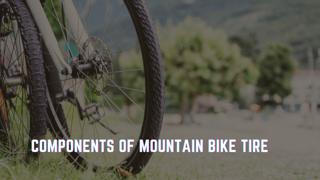 Components of a Mountain Bike Tire