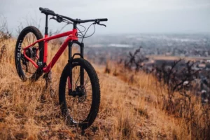 Hardtail Mountain Bike