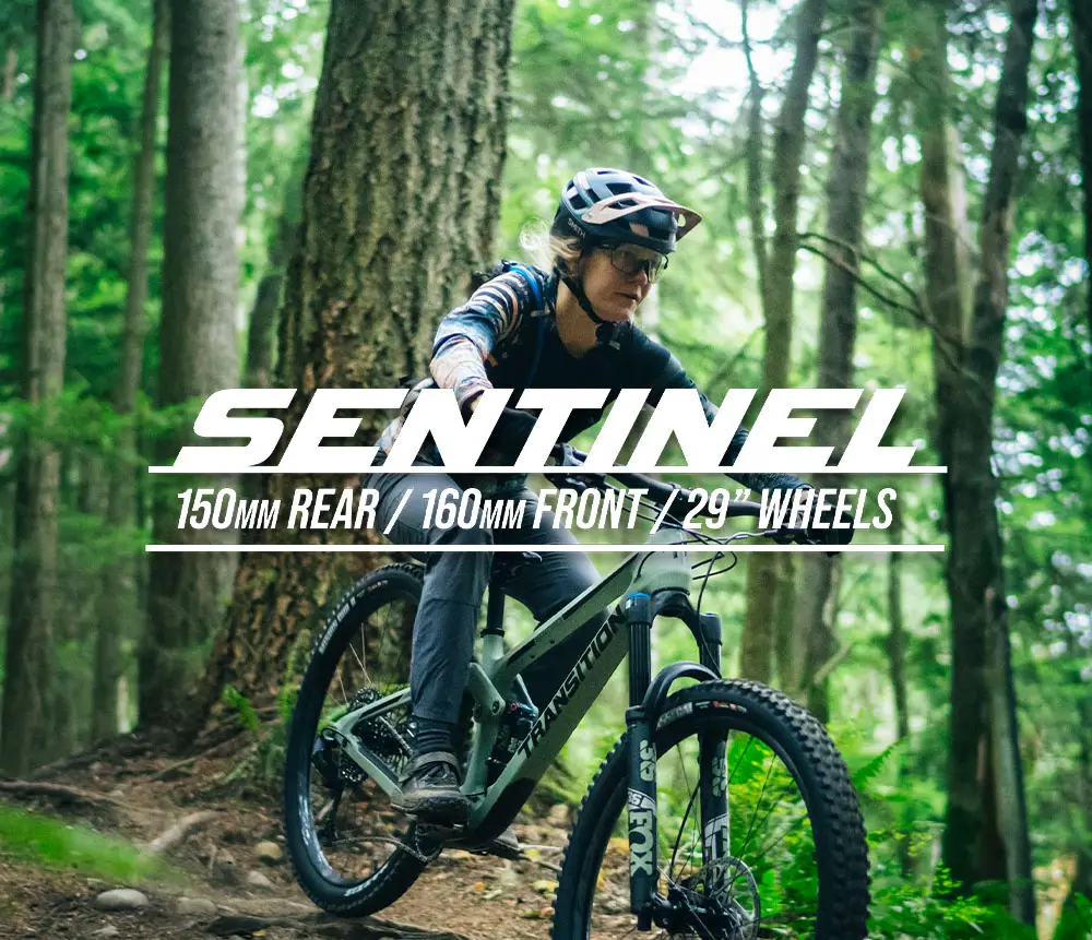 Transition Sentinel Alloy vs. Carbon: Choosing the Right Frame