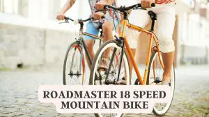 Roadmaster 18 Speed Mountain Bike