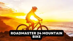 Roadmaster 24 Mountain Bike