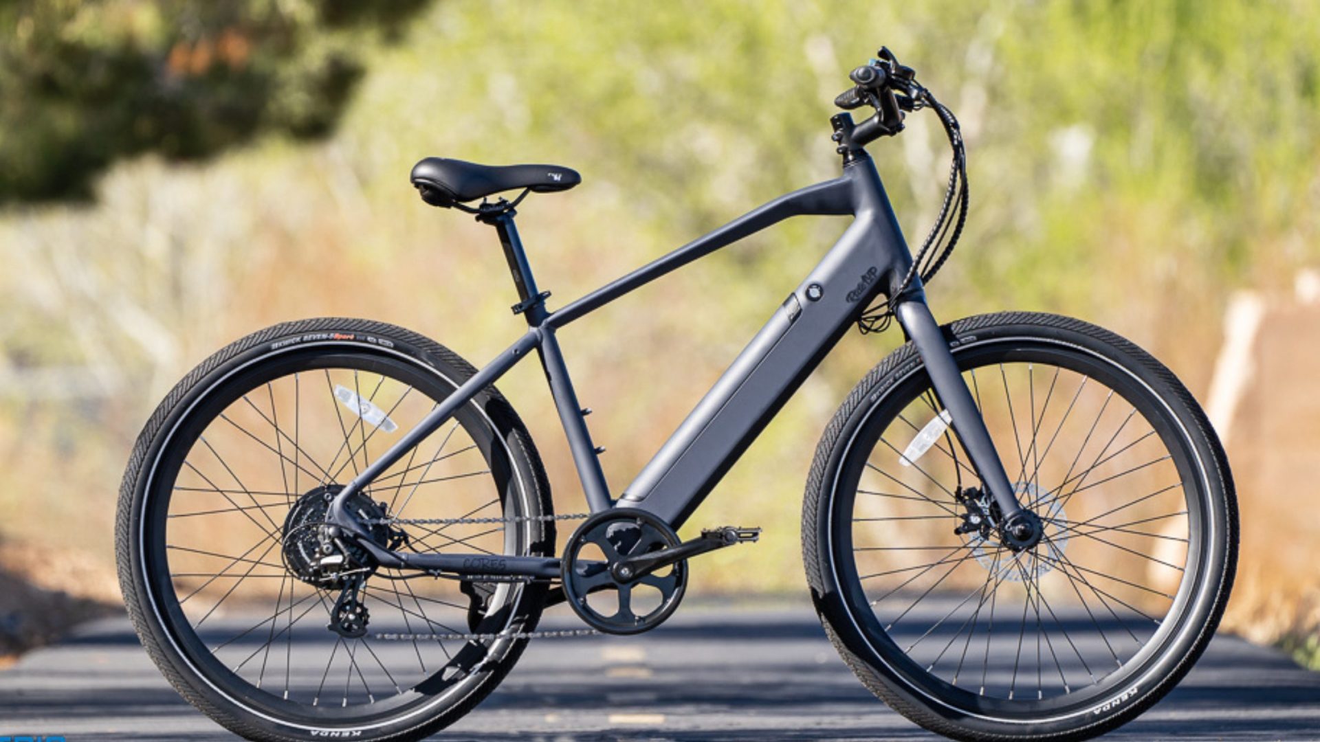 rio electric bike price