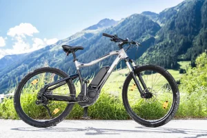Exploring the Carrera Vengeance E-Bike: Features and Performance